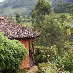 Mahogany Springs Lodge, Bwindi