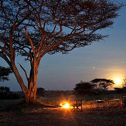 En smuk aften på safari i Tanzania med udsigt til Serengetis savanne