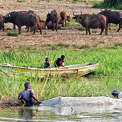 Lokale fiskere ved Kazinga kanalen 