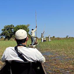 Hvem vil ikke gerne sidde i en mokoro midt i Okavango deltaet!