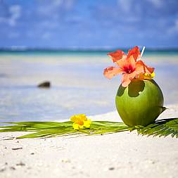 Seychellerne også kendt som Paradisets Have