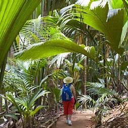 På besøg i regnskoven Valle de Mai på Praslin