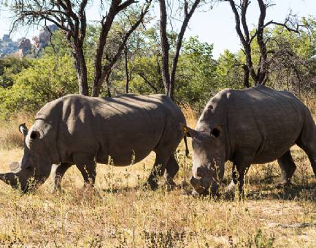 Matobos National Park Zimbabwe africa tours 