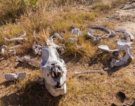 Matobos National Park Zimbabwe africa tours 
