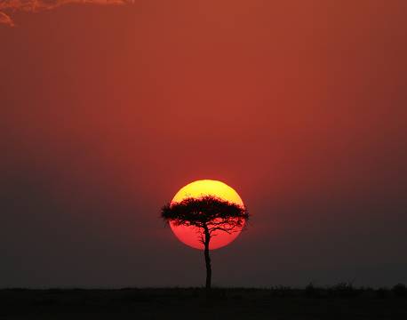 Smuk solnedgang i Masai Mara, Kenya africa tours