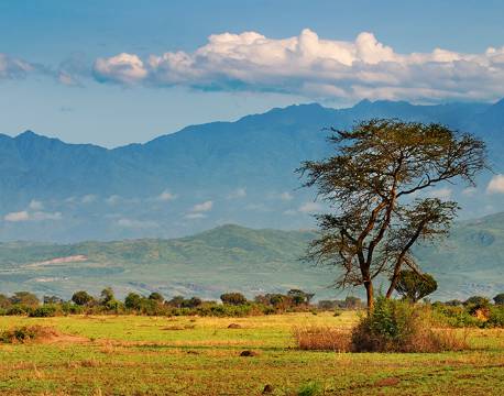 Rwenzori Mountains Uganda africa tours