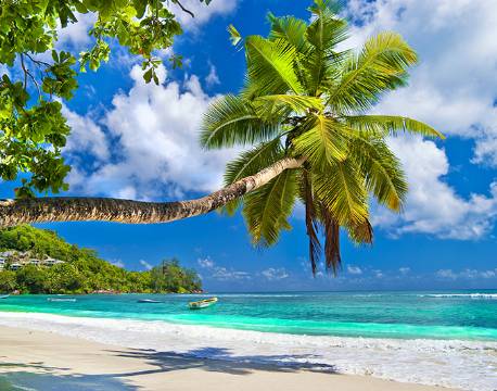 Seychellerne indiske ocean africa tours