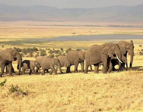 Ngorongoro krateret Tanzania africa tours