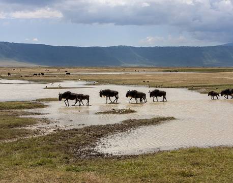 Ngorongoro krateret Tanzania africa tours