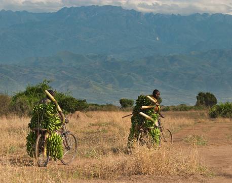 Rwenzori Mountains Uganda africa tours
