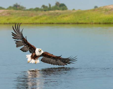 Lake Mburu Uganda africa tours
