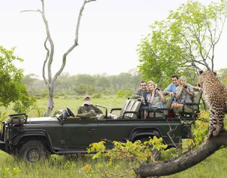off road safari, Leopard, Timbavati Private Reservat, Sydafrika africa tours