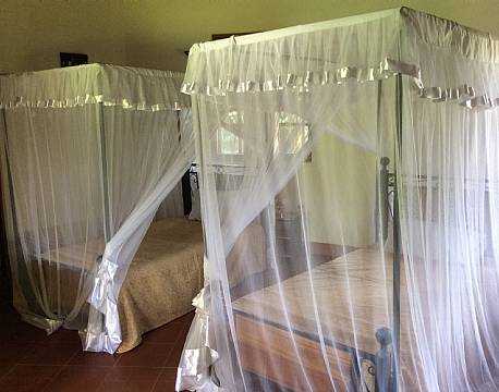 Kibale Guest Cottages uganda 6 africa tours