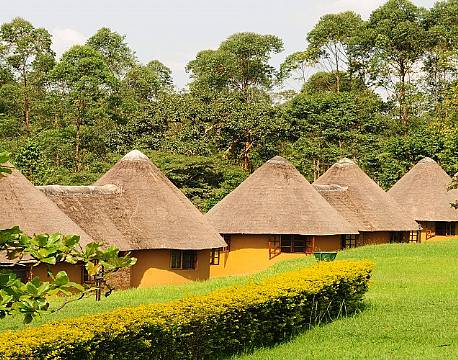 Kibale Guest Cottages uganda 3 africa tours