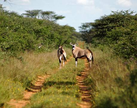 Namibia Waterberg namibia africa tours