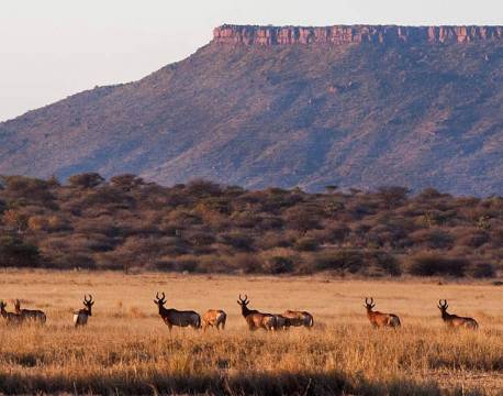 Namibia Waterberg namibia africa tours