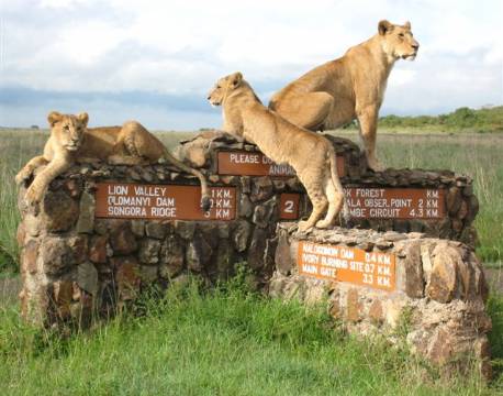 Nairobi National Park kenya africa tours