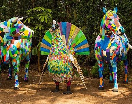 Blog Ocean Sole indisk ocean africa tours