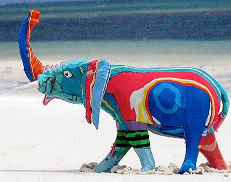 Blog Ocean Sole indisk ocean africa tours