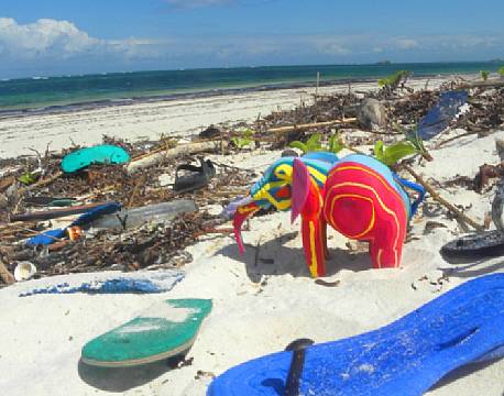 Blog Ocean Sole indisk ocean africa tours