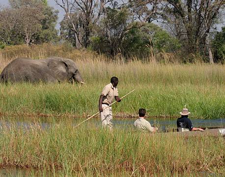 Moremi Crossing botswana 10 africa tours