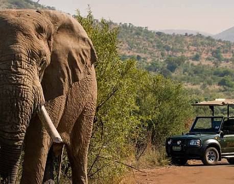 Bakubung Bush Lodge sydafrika 10 africa tours