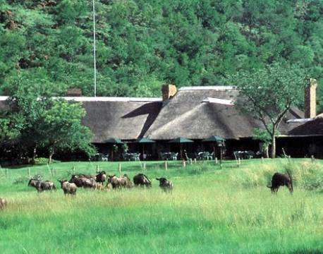 Bakubung Bush Lodge sydafrika 1 africa tours