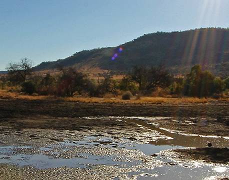 Pilanesberg og Sun City sydafrika africa tours