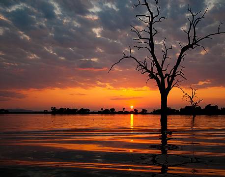 Nyerere vildreservat tanzania africa tours
