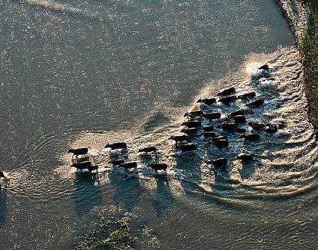 Nyerere vildreservat tanzania africa tours
