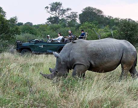 Klaserie Naturreservat sydafrika africa tours