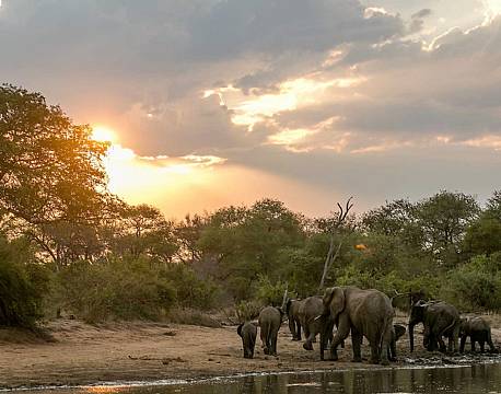 Klaserie Naturreservat sydafrika africa tours