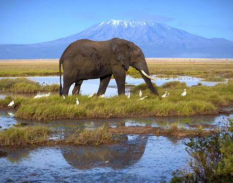 Amboseli kenya africa tours