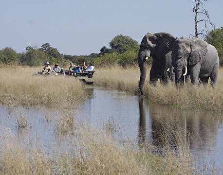 Kwara Camp botswana 3 africa tours