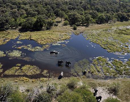 Kwara Camp botswana 9 africa tours