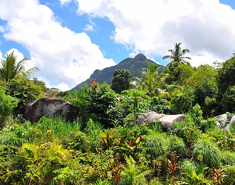 Hanneman Residence seychellerne 10 africa tours