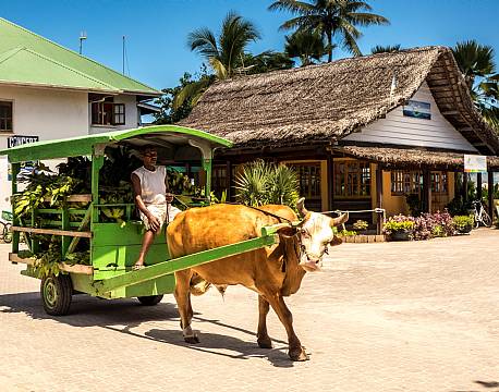 Seychellerne indiske ocean africa tours
