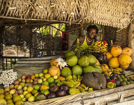 Seychellerne indiske ocean africa tours