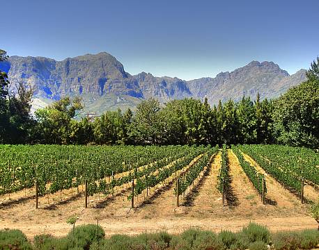 Vinlandet SA sydafrika africa tours