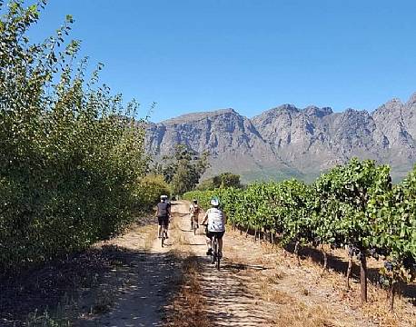 Vinlandet SA sydafrika africa tours