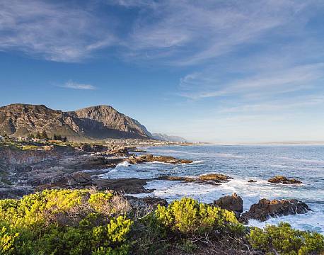 Hermanus Hval sydafrika africa tours