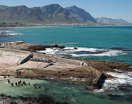 Hermanus Hval sydafrika africa tours