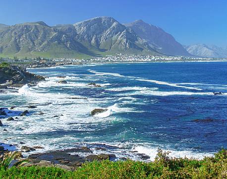 Hermanus Hval sydafrika africa tours