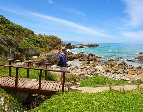 Hermanus Hval sydafrika africa tours