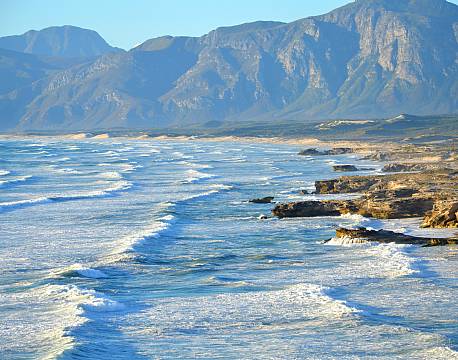 Hermanus Hval sydafrika africa tours