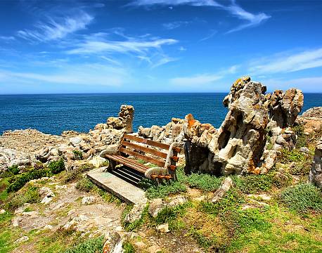 Hermanus Hval sydafrika africa tours
