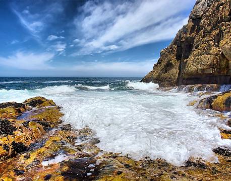 Hermanus Hval sydafrika africa tours