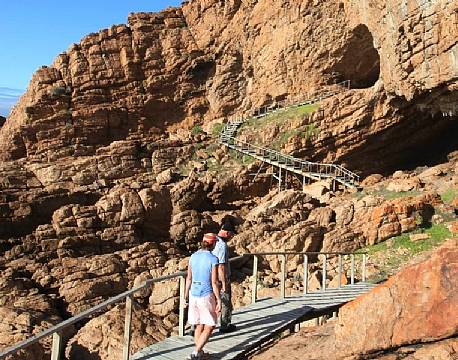 Mossel Bay Haj sydafrika africa tours