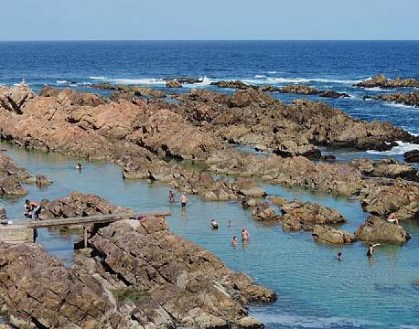 Mossel Bay Haj sydafrika africa tours