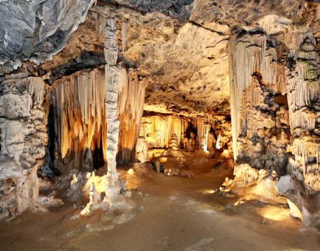 oudtshoorn strudse sydafrika africa tours